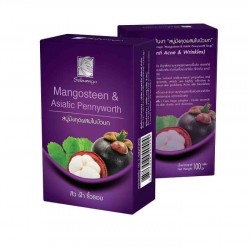 Herbal Soap Mangosteen & Asiatic Pennywort Sabunnga