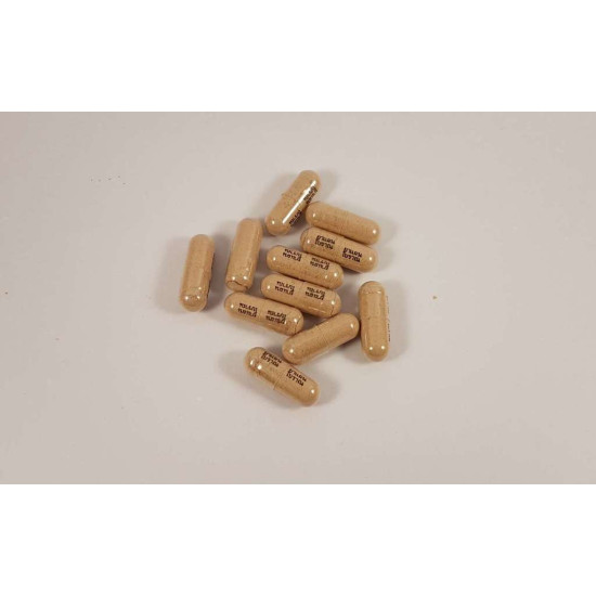 Reishi – Lingzhi Ganoderma Lucidum 400 mg Capsulesa