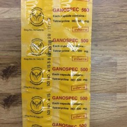 TETRACYCLINE 500 MG GANOSPEC